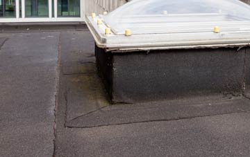 disadvantages of West Lyn flat roofs