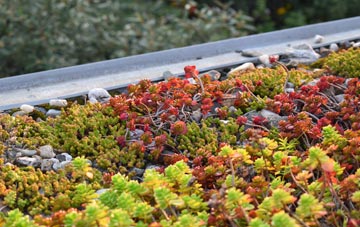 the cost of West Lyn green roof installation