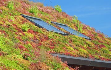 West Lyn living roof systems